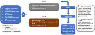 PELICAN-IPC 2015-016/Oncodistinct-003: A Prospective, Multicenter, Open-Label, Randomized, Non-Comparative, Phase II Study of Pembrolizumab in Combination With Neo Adjuvant EC-Paclitaxel Regimen in HER2-Negative Inflammatory Breast Cancer